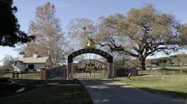 Michael Jackson's Neverland Ranch