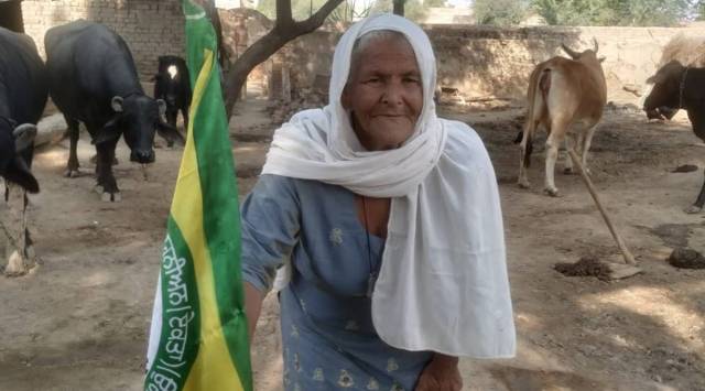 Shaheen bagh dadi, Kangana Ranaut, Mohinder Kaur, Kangana tweet on dadi, Punjab news, Ludhiana, India news, Indian express
