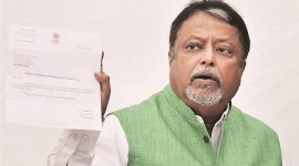 trinamool congress, mukul roy, bjp national vice president, singur agitation, tatas, indian express news