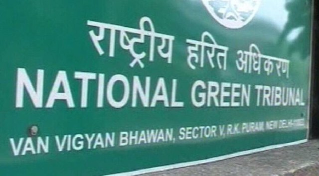 National Green Tribunal, Delhi forest dept, staff vacancies, Delhi government, Delhi news, Indian express news