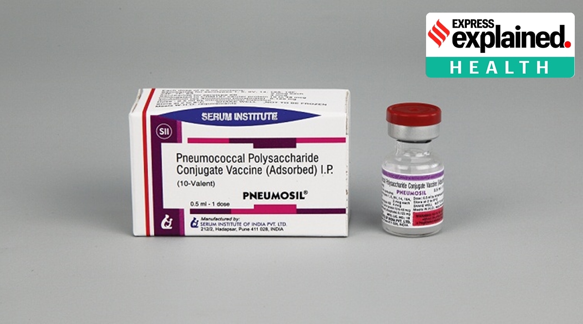 The vaccine, Pneumosil, will be available shortly. (Serum Institute of India)