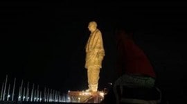 Gujarat: 194 crocodiles relocated from lake near Statue of Unity for safety of tourists