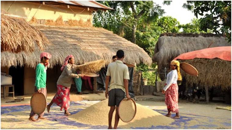 tharu tribals, tharu tribals UP tourism, who are tharu tribals, tharu tribals culture, UP tourism places, uncommon destinations uttar pradesh, express explained, indian express