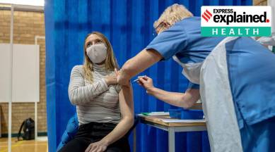 Covid vaccine, Coronavirus spread, Covid spread without mask, Vaccinated people mask, Explained health, express explained,