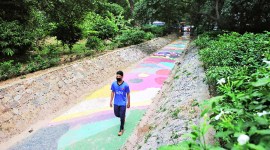 AIIMS, AIIMS study, mental health, lack of exercise, increased screen time, indian express news