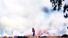 crop burning season, delhi air quality, delhi air pollution, delhi air, indian express news