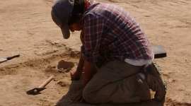 indus valley civilisation, indus valley civilisation india, Indus Valley food habits, diet, meat diet, indian express news