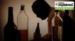 North India winter, North India cold wave, delhi ncr, Haryana, punjab, rajasthan, Uttar Pradesh, delhi winter, indian express