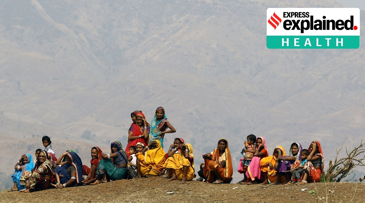 Early marriages and anemia have caused maternal health issues in tribal women of Nandurbar in Maharashtra. (Express Photo: Prashant Nadkar, File)