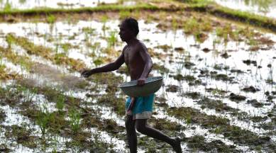 Maharashtra crop productivity