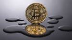 Bitcoin, US dollar, Bitcoin exchange, digital currency, digital currency usage, bitcoin value, bitcoin latest news, how to invest in bitcoin, bitcoin value in us dollar, bitcoin value in indian rupees