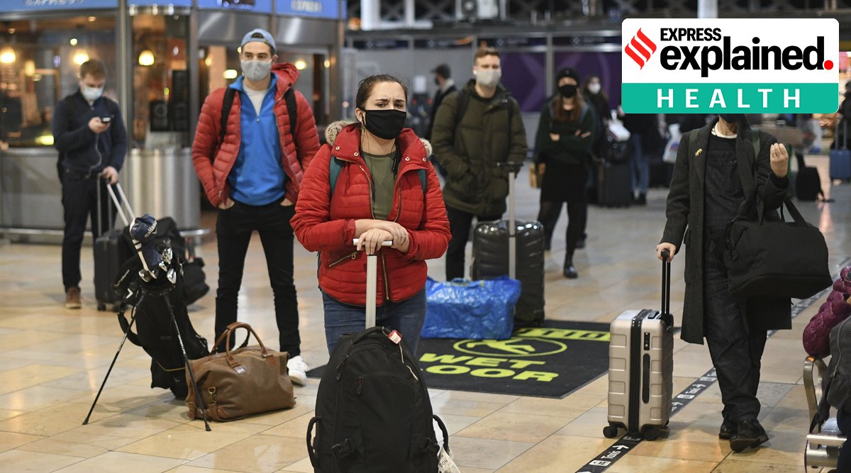 coronavirus, coronavirus mutation, new coronavirus, new covid 19 mutant, covid 19 mutation, mutated coronavirus, mutation, uk coronavirus mutation, coronavirus in uk