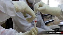 covid testing RT-PCR test, RT-PCR coronavirus test, COVID-19, Maharashtra RT-PCR test, Karnataka RT-PCR test, Health Department, Kerala RT-PCR test, covid testing in india, india news, indian express