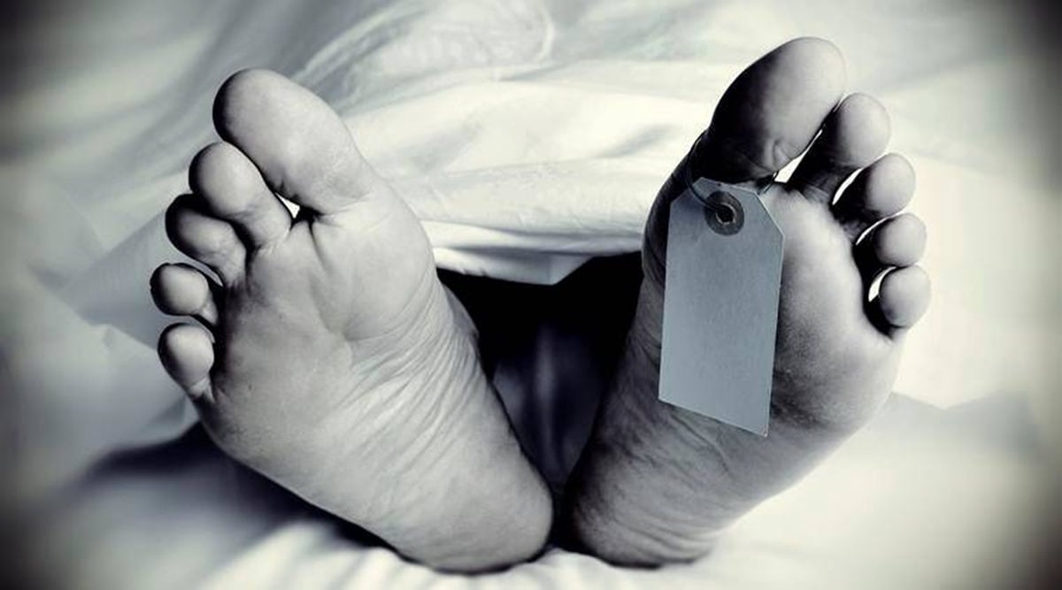 Ludo game, ludo game bet, gujarat man dead, gujarat murder news, indian express news