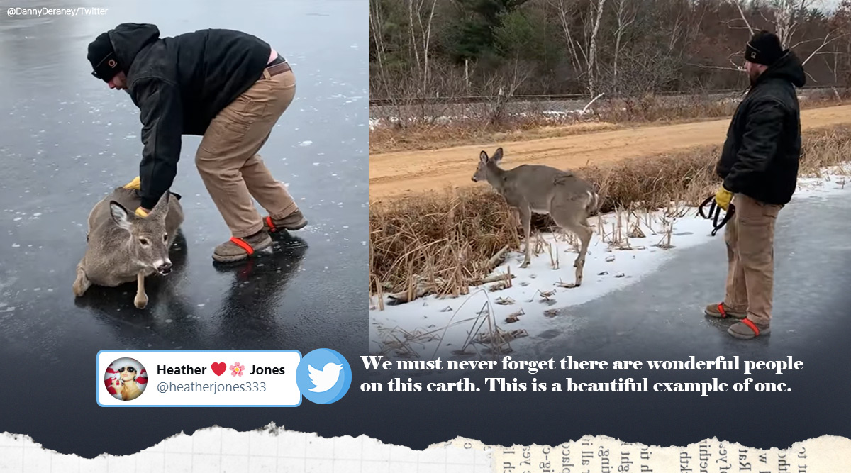 man saves deer, deer rescued from frozen lake, us man saves deer from frozen pond, frozen water animal rescue, good news, viral videos, indian express