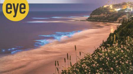 california coastline