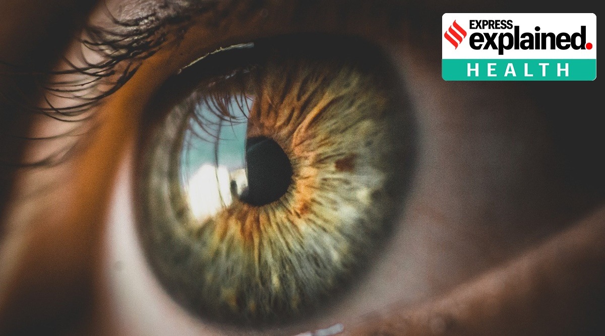 coronavirus, coronavirus in eyes, eye transplant, eye transplant and covid, covid-19, coronavirus research, indian express news
