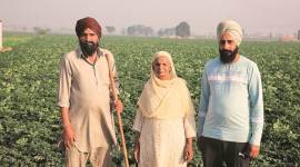 farmers protest, farmers protest delhi, farmers protest news, farm laws protest, msp, apmc mandis, new farm laws, punjab farmers protest, indian express