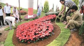 Pune Municipal Corporation, PMC, Pune Gardens, Pune news, indian express news