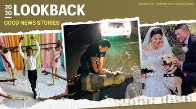 year ender, year ender 2020, yearender 2020, year ender stories, Social media good news, year ender videos, year ender stories 2020, year ender 2020 videos, year ender 2020 articles, year ender news, year ender ideas, Indian Express news