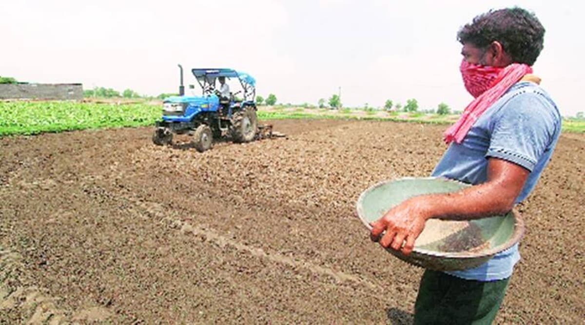 Punjab Agriculture University, Minimum Support Price (MSP), Union Budget 2021, budget 2021, budget, budget 2021 highlights, budget highlights, budget 2021 india, budget 2021 important points, budget 2021 highlights pdf, budget 2021-22, budget 2021 key highlights, budget 2021 announcement, budget 2021 announcements, union budget 2021 announcement, budget 2021 highlights pdf