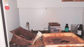 JNU lab closed due to Covid, termites ruin students’ work