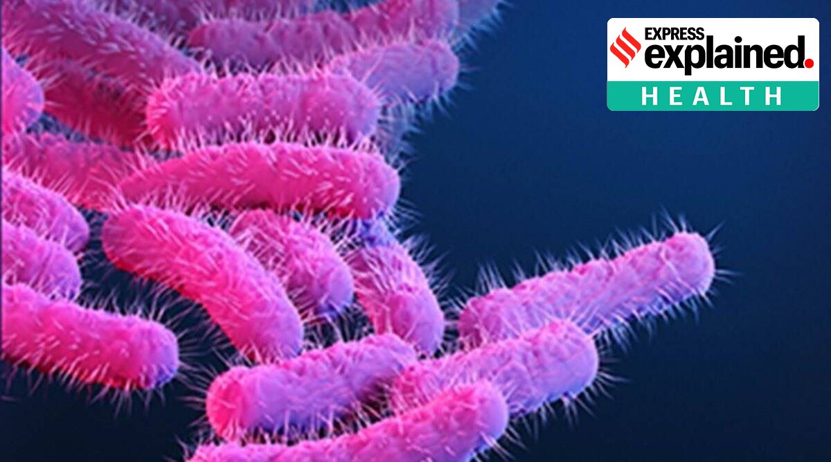 The shigella infection spreads from contaminated food and water. (Picture via ieMalayalam.com)