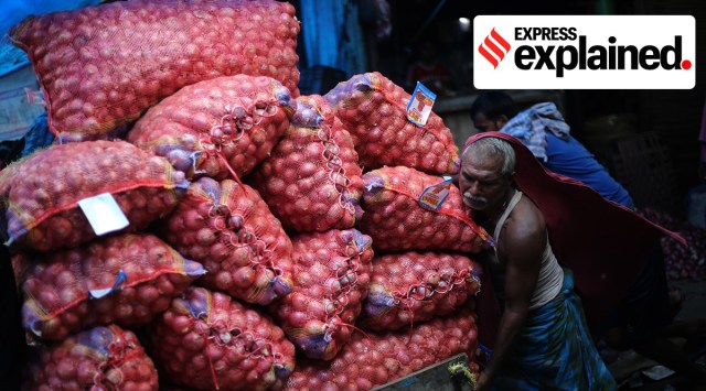 At a mandi in New Delhi. APMCs continue to report an annual turnover of over Rs 48,000 crore while 'trade areas' report business of around Rs 11,000-13,000 crore. (Express Photo: Tashi Tobgyal, File)