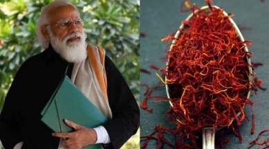 pm modi, saffron