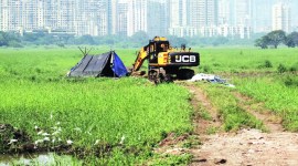 Bombay HC, mumbai metro car shed, Kanjurmarg mumbai metro car shed, mumbai news, indian express news