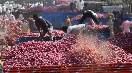onion prices, onion prices india, india onion prices, onion export india