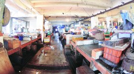 Maharashtra fishermen protest, Protest against Vadhavan port, Mumbai news, Maharashtra news, Indian express news