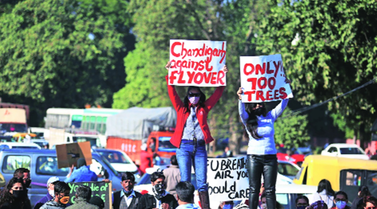 Green activists protest, CHandigarh protest, 700 trees to be felled, Chandigarh flyover construction, Chandigarh news, Punjab news, Indian express news