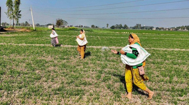 Amid stir, subsidy to Punjab farmers, MSP bill in focus
