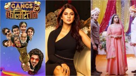 gangs of filmistaan, beyhadh, shows that failed in 2020
