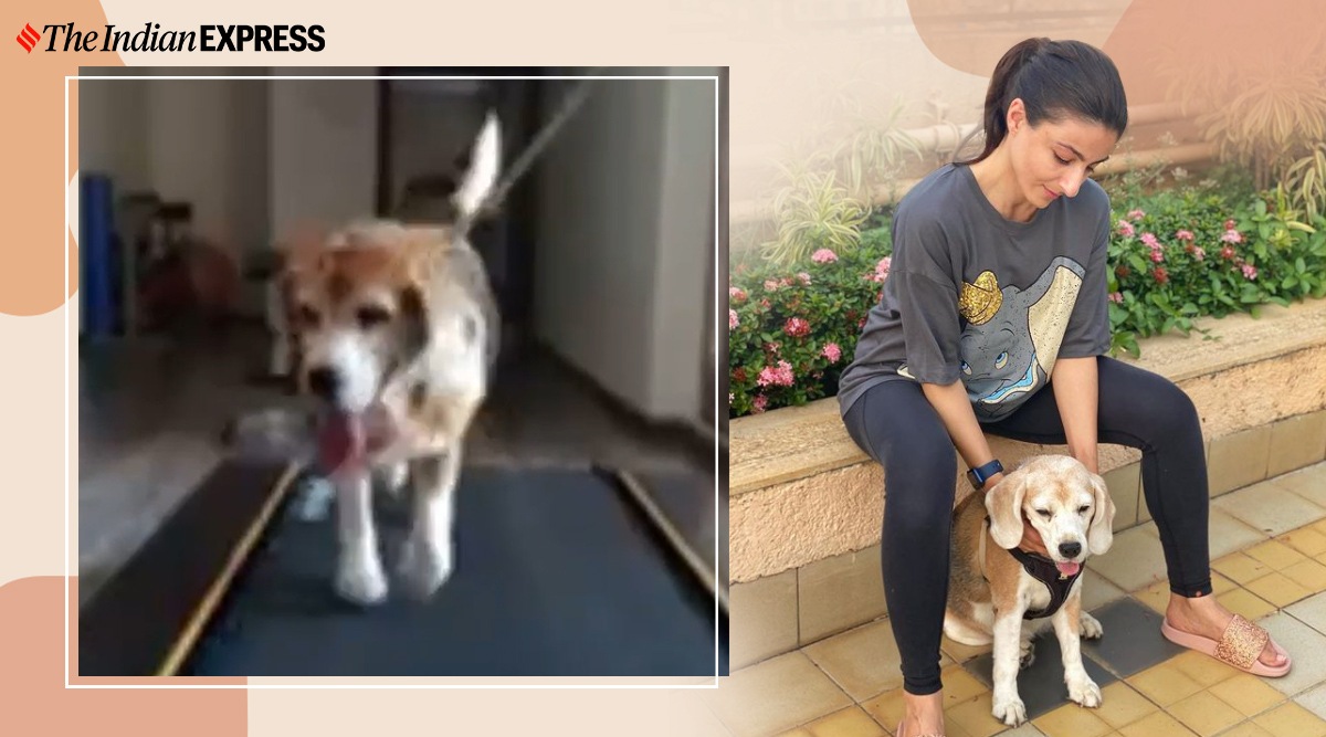 Soha Ali Khan On Why Your Pet Dog Needs To Lose That Extra Weight ...