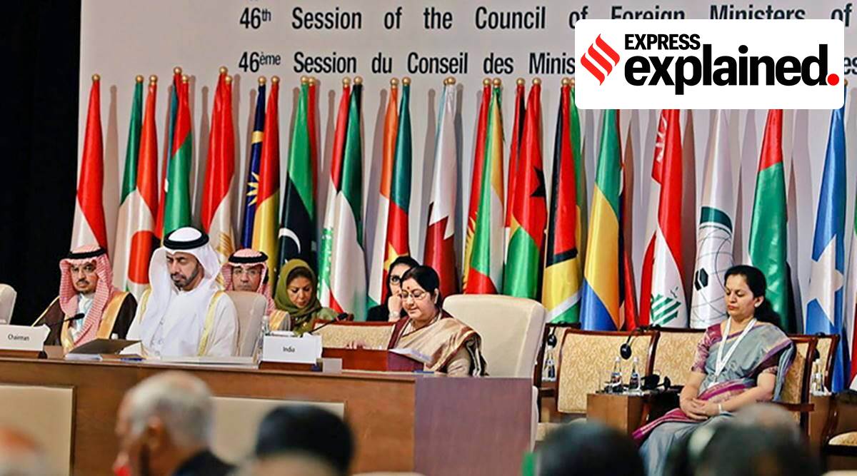 Then External Affairs Minister Sushma Swaraj as Guest of Honour at the OIC Foreign Ministers’ meeting in Abu Dhabi in 2019. (Express Archive)