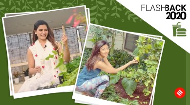 sustainable living, yearender 2020, indianexpress