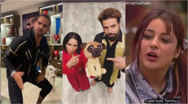shehnaaz gill, rithvik dhanjani, shikhar dhawan