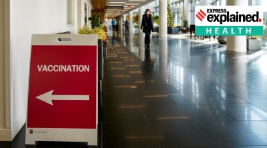 Coronavirus vaccine, Covid vaccine, Coronavirus vaccine update, Covid vaccine update, Indian Express