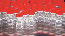 vials Panel seeks more vaccine data before emergency nod