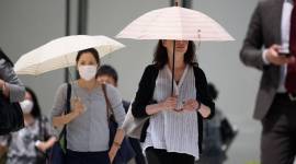 Global weather, 2020 warmest year, 2020 weather, World Meteorological Organisation, IMD, Global temperature, Indian express,