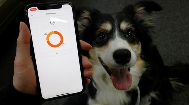 Dog collars, Smart dog collars, AI-powered dog collars, South Korea, Dog collars, Petpuls Lab dog collars, Bark detecting dog collars, Trending news, Indian Express news