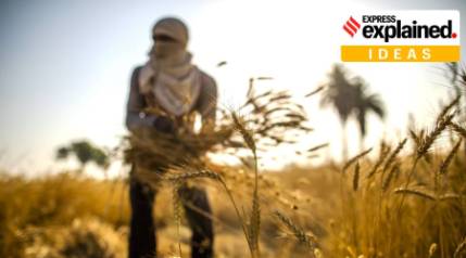 What kind of an agri-food policy does India need?