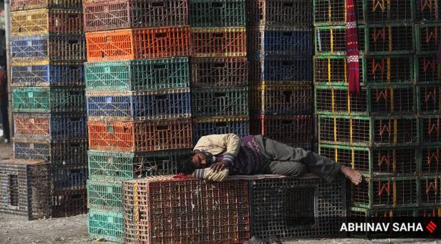 Delhi has banned import of live birds and the biggest wholesale poultry market in Ghazipur has been temporarily shut down. (Express photo by Abhinav Saha)