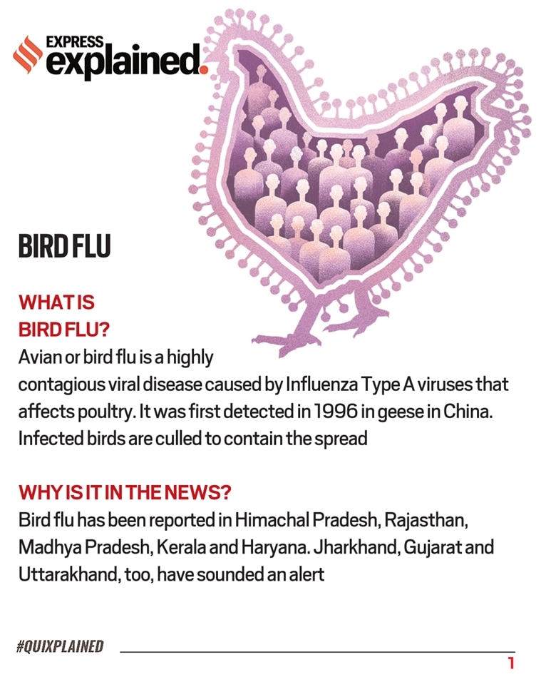 New Bird Flu 2025 Symptoms