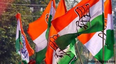 Rajasthan: Congress claims will form boards in 50 of 90 ULBs; Ajmer goes to BJP