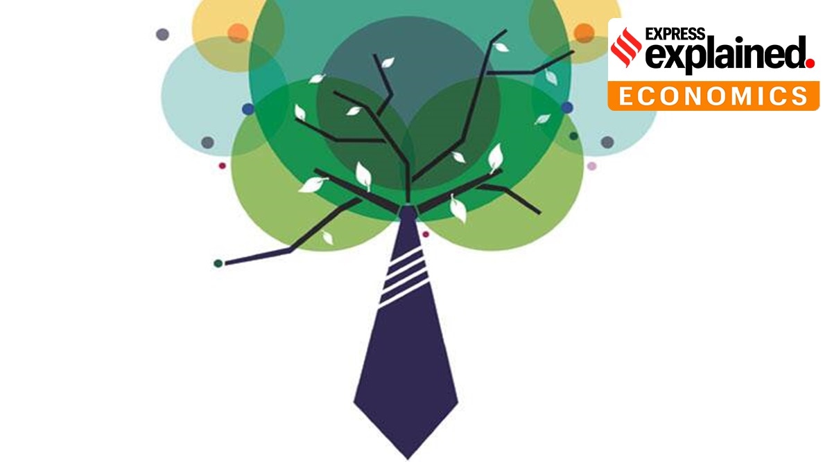 CSR rules, CSR expenditure rules, CSR new rules, CSR expenditure, Indian Express