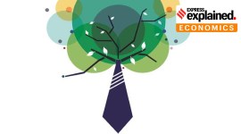 CSR rules, CSR expenditure rules, CSR new rules, CSR expenditure, Indian Express