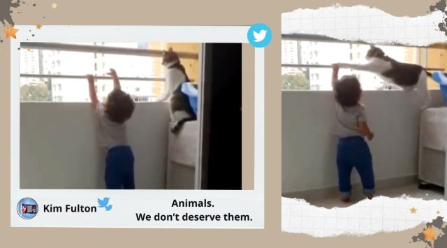 Cat videos, Cat viral videos, Cat saves toddler, Cat toddler balcony railings, Cat and toddler video, Protective cat videos, Trending news, Indian Express news.